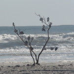 2012-11-23 12.55.52