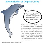 Dolphinclicks