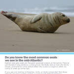 BCS_Seals_large