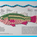 From National Geographic Magazine