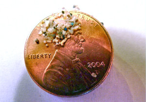 Plastic microbeads on a penny. Photo credit: 5Gyres