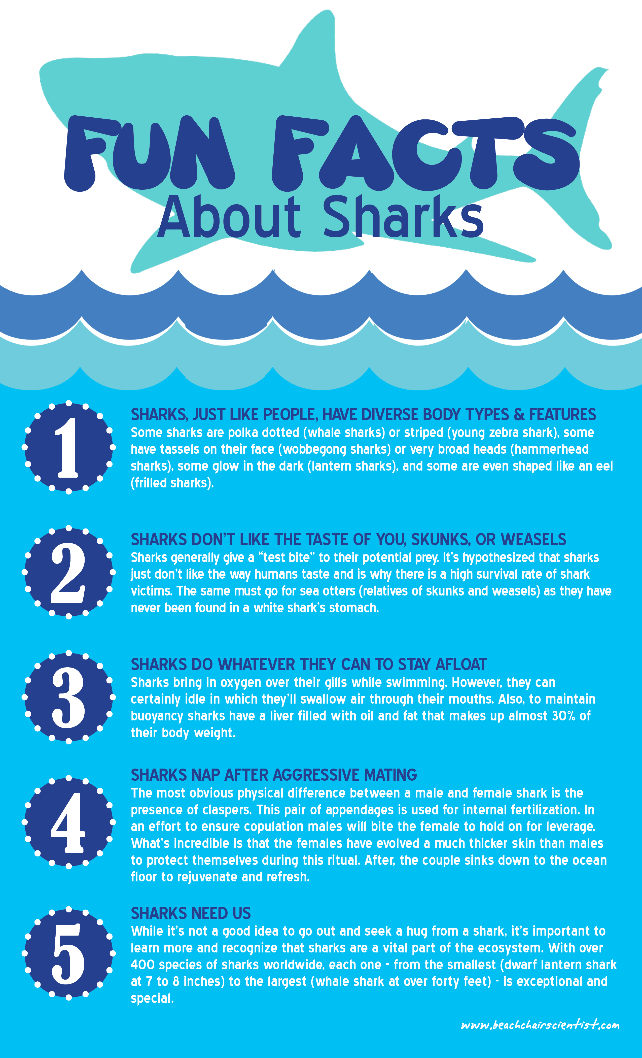 Five surprising facts about sharks