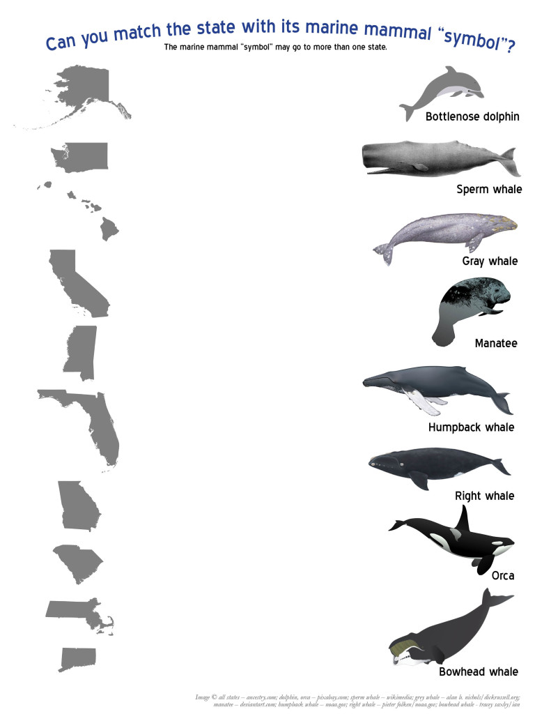 Can you match the state with the marine mammal "symbol"?