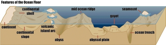 ocean floor topography cross section