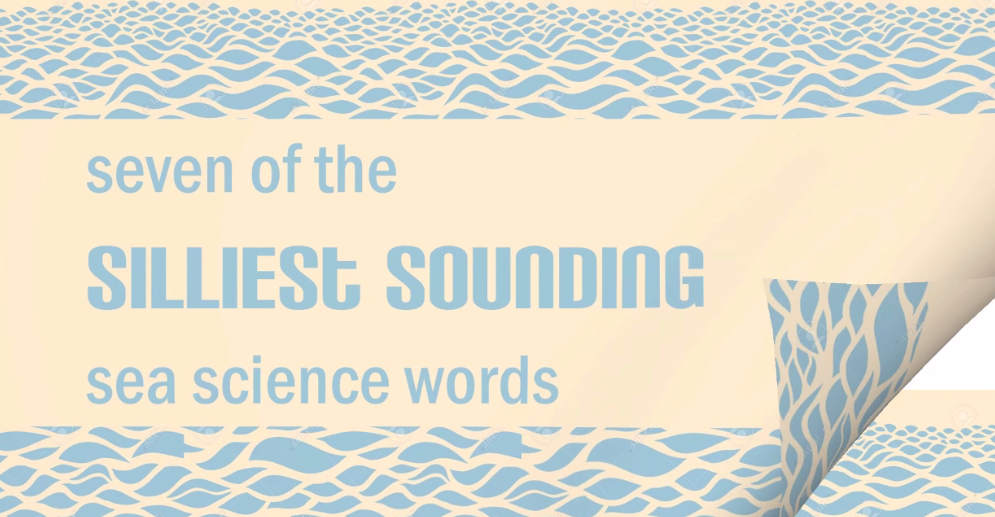 What's your faorite sea science word?