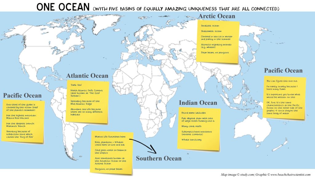 what-makes-each-ocean-unique