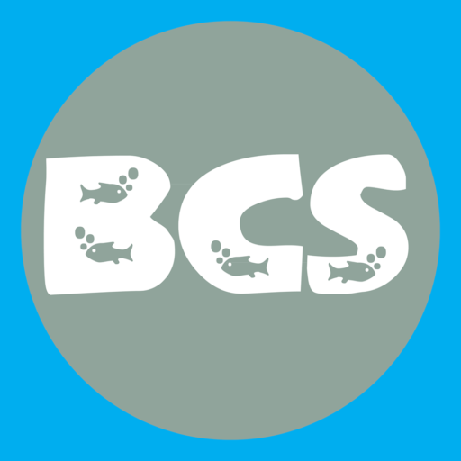Resources & More